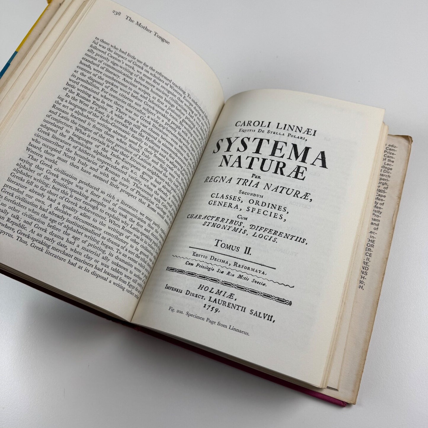 The Mother Tongue in quiz and colour by Lancelot Hogben | Secker & Warburg, 1964