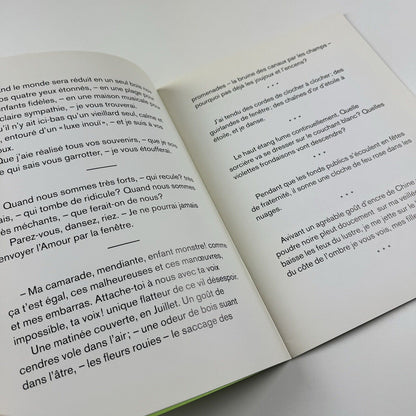 Eugène Leroy. Neue Bilder | Text by Arthur Rimbaud | Michael Werner Cologne, 1996