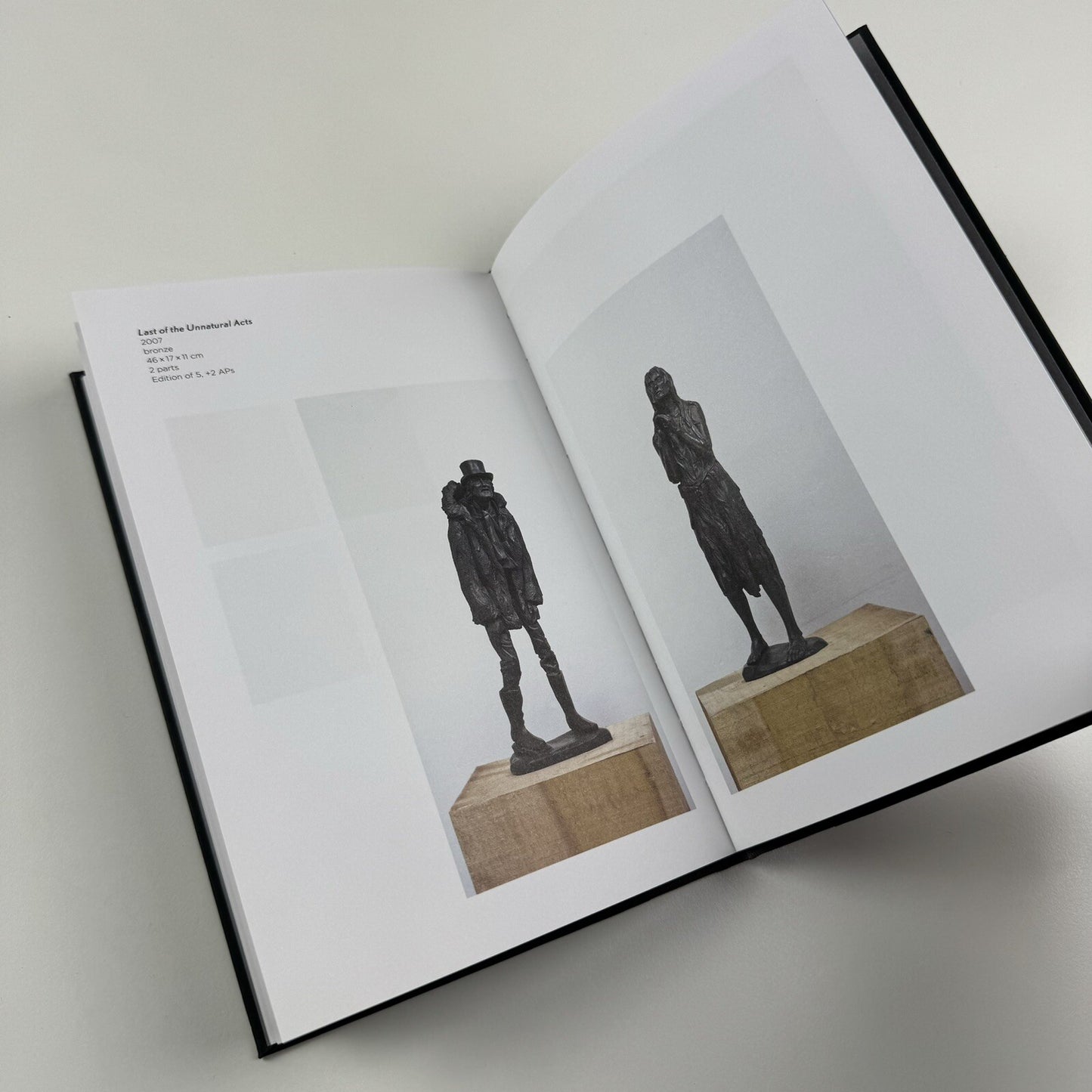 Ricky Swallow | Douglas Hyde Gallery Dublin, 2007 exhibition catalogue