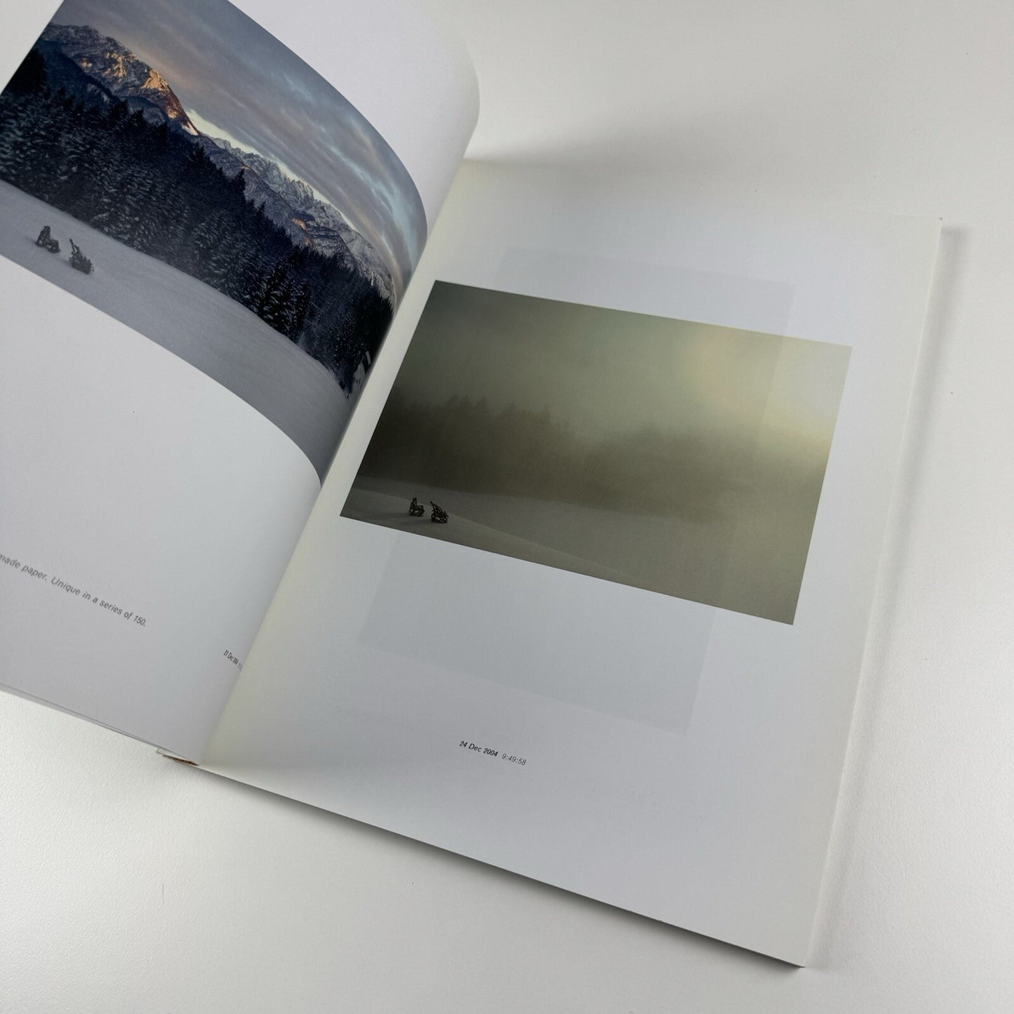 Maryam & Rolf Sachs: Wild & Real? | Phillips de Pury & Co catalogue, 2006
