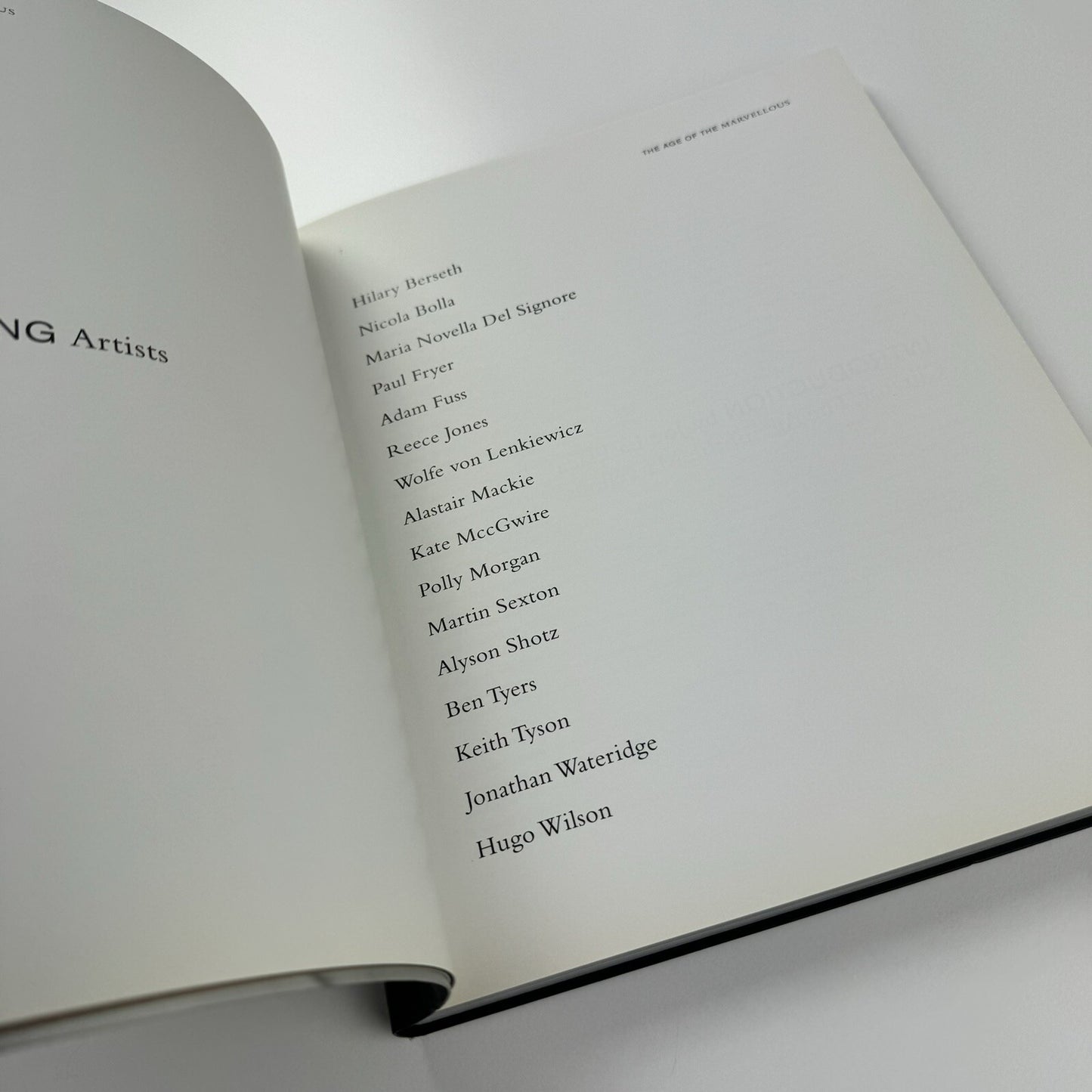 The Age of the Marvellous | One Marylebone Road | All Visual Arts catalogue, 2009 | Text by Joe Le Placa and John Paul Pryor