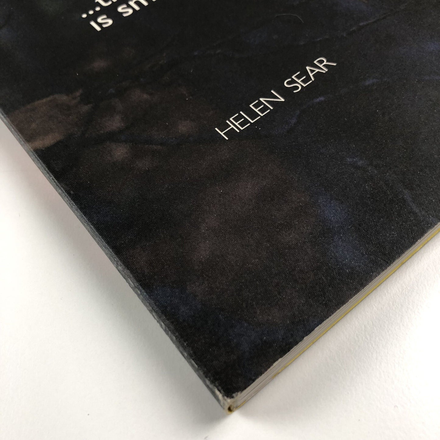 Helen Sear ... the rest is smoke | Wales in Venice biennale catalogue, 2015