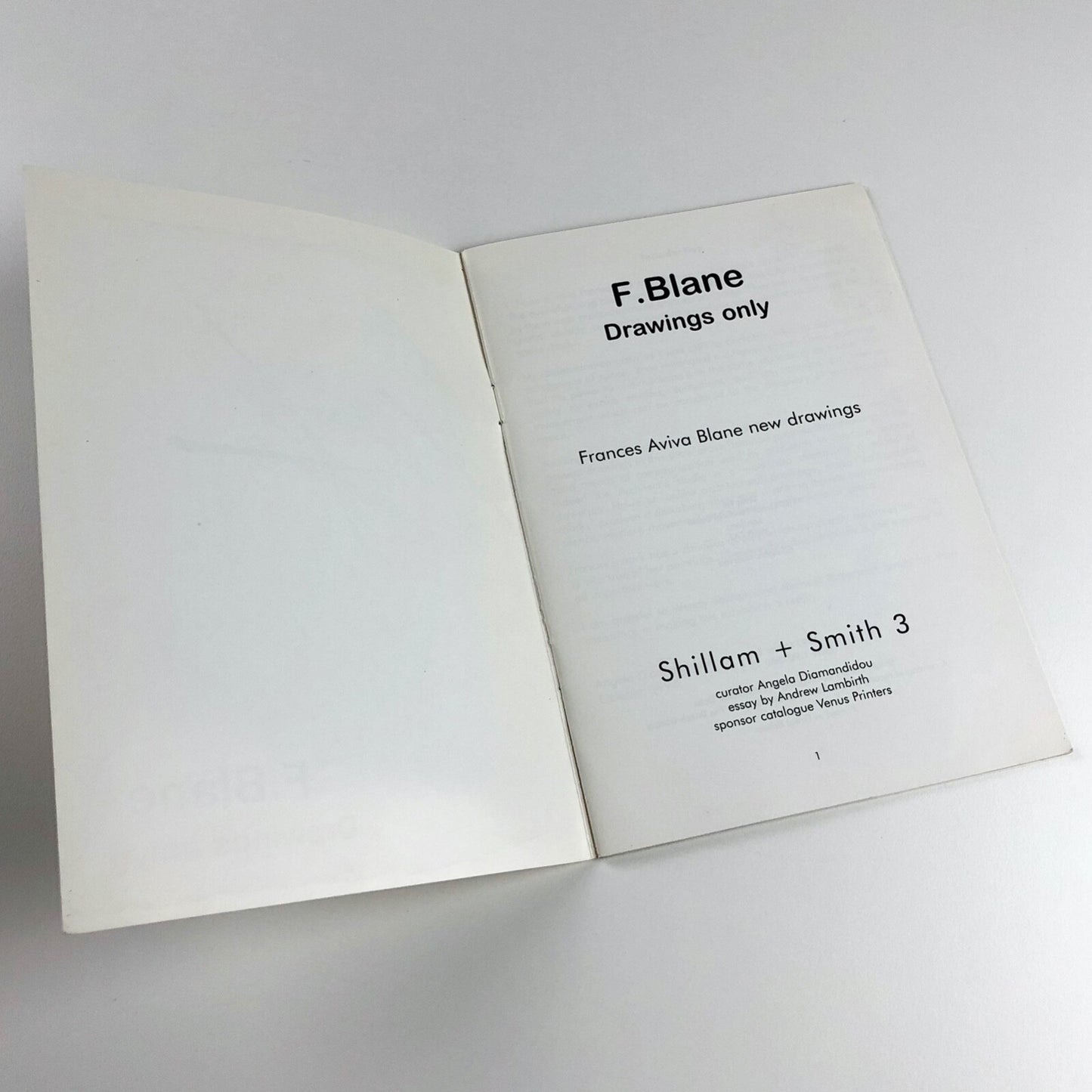 Frances Aviva Blane: New Drawings, catalogue | Shillam + Smith 3, London 1997