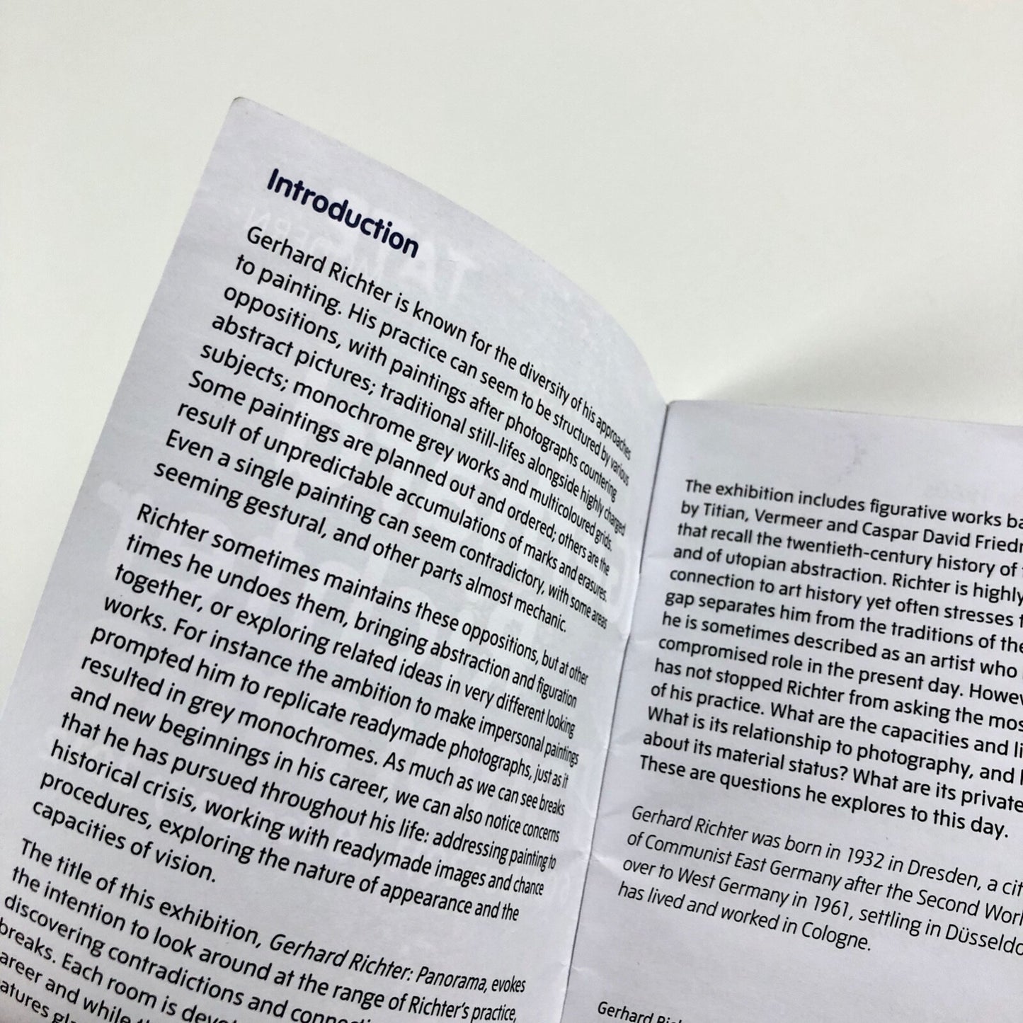 Gerhard Richter. Panorama | Pocket gallery guide – Tate Modern 2011/12