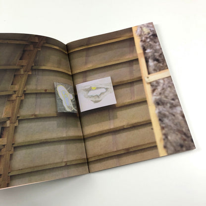 Dependent Rational Animals Roxy Walsh and Sally Underwood | Towner Gallery catalogue, 2013