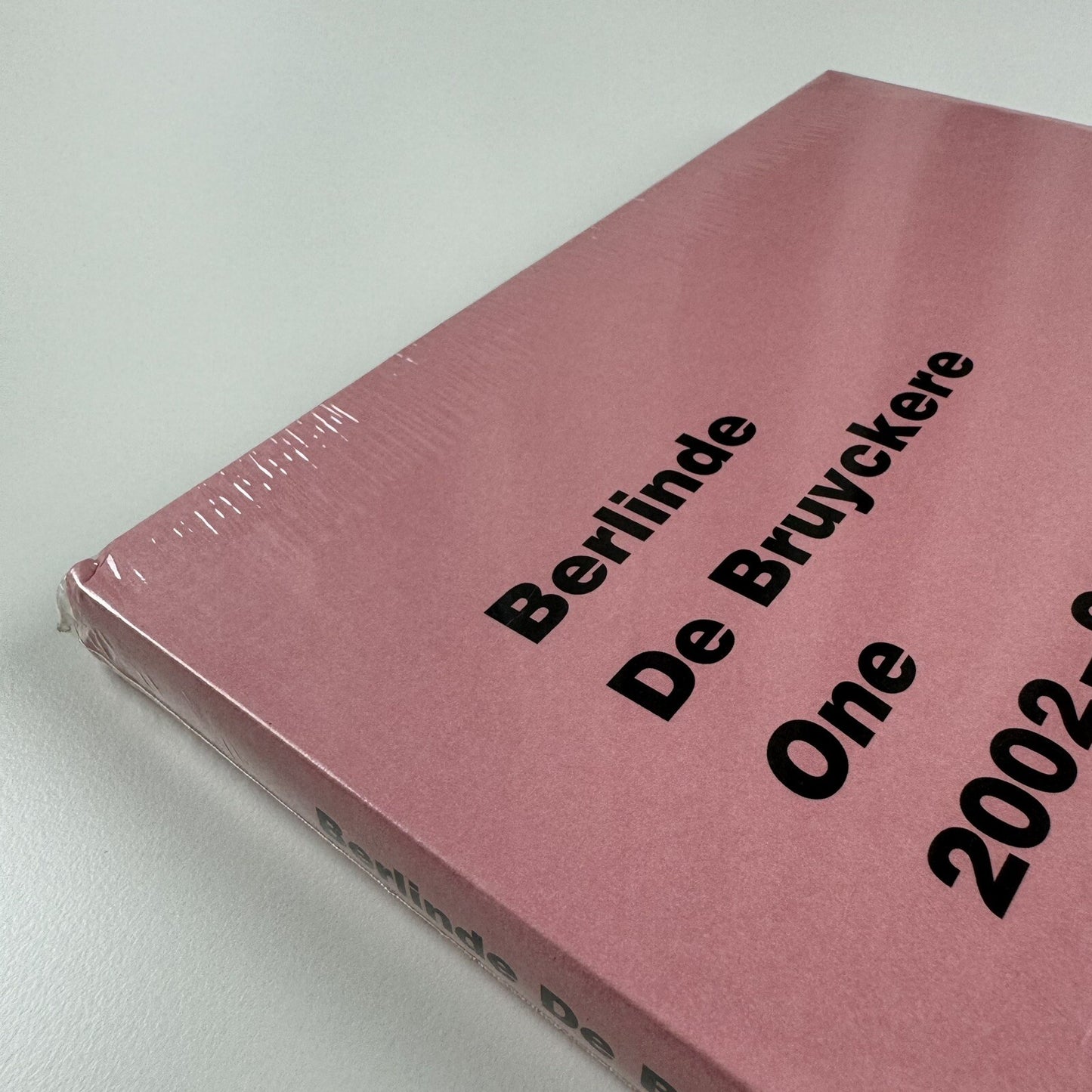 Berlinde De Bruyckere One 2002-2004 | De Pont Museum / La Maison Rouge exhibition catalogue, 2005