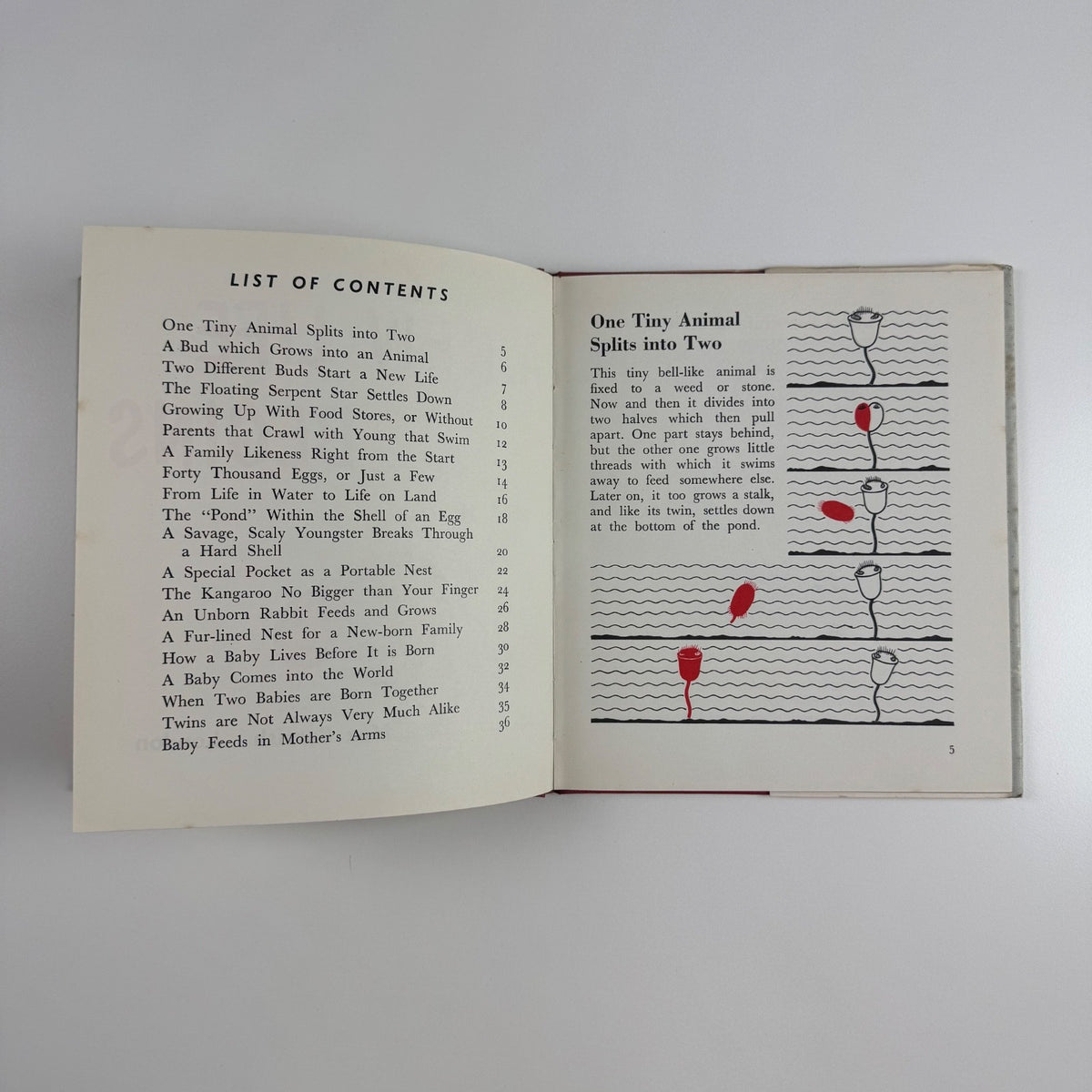 A new life begins by Marie Neurath | Max Parrish, London, 1961 Isotype Institute Institute
