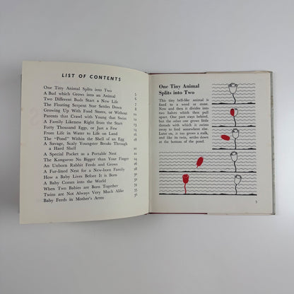A new life begins by Marie Neurath | Max Parrish, London, 1961 Isotype Institute Institute