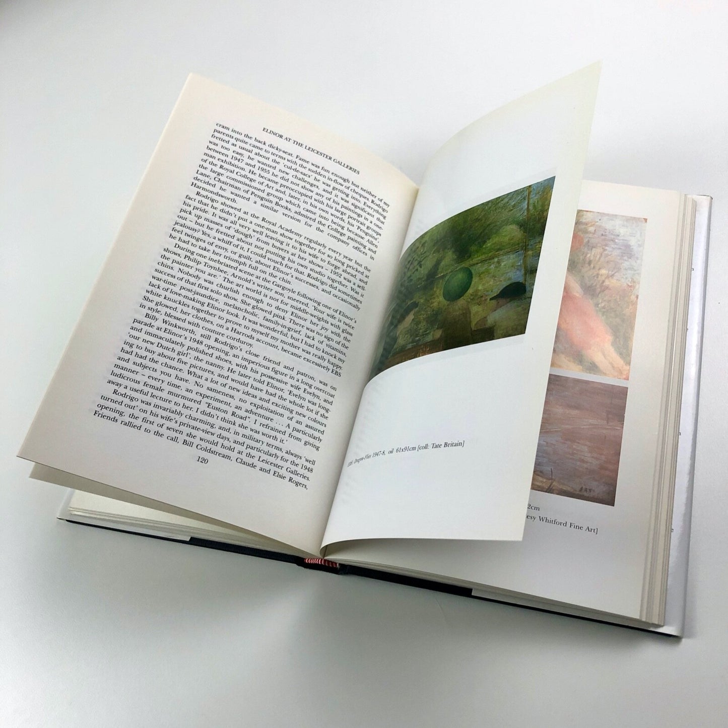 Restless Lives – the Bohemian world of Rodrigo & Elinor Moynihan by John Moynihan | Samson &amp; Company, 2002