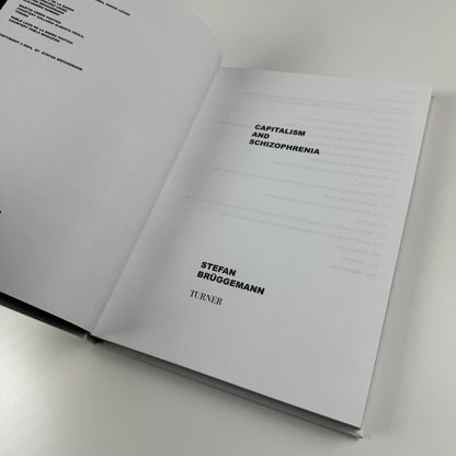 Capitalism and schizophrenia | Stefan Brüggemann | Turner/Galeria de Arte Mexicano, 2004
