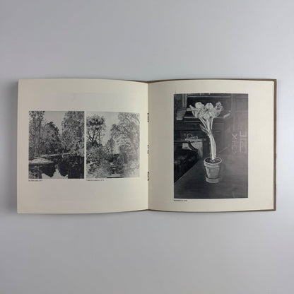 Michael Tree. Paintings and drawings at the Jacobson/Hochman Gallery, 1981