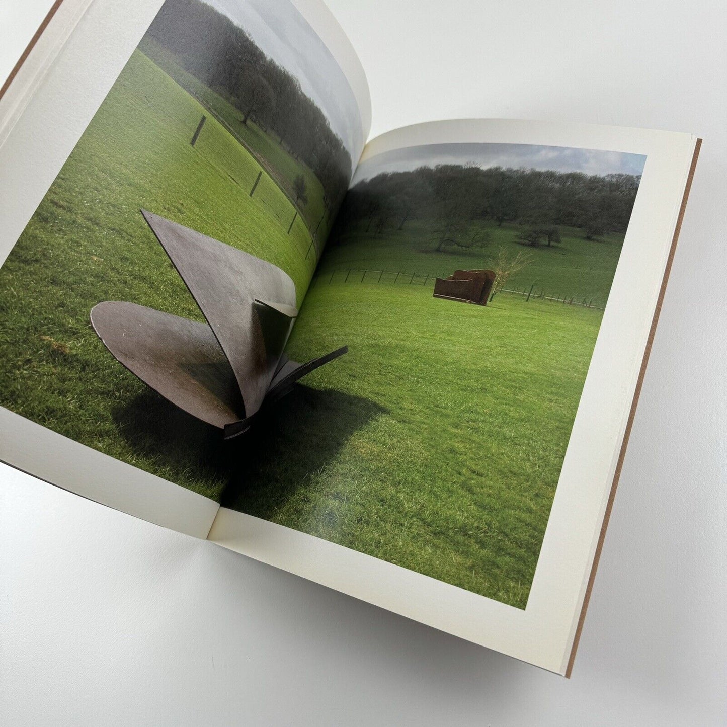 Anthony Caro: Flats (Anthony Caro & Sheila Girling) | New Art Centre, Roche Court, 2007 | edited by Jeremy Hunt