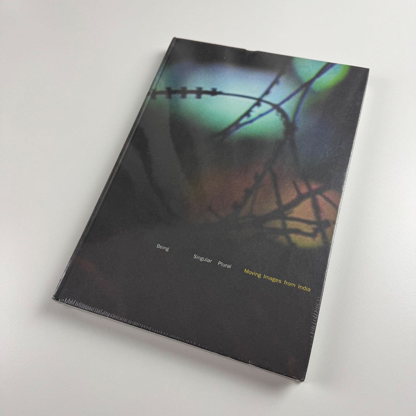 Being Singular Plural Moving Images from India by Sandhini Poddar, 2012