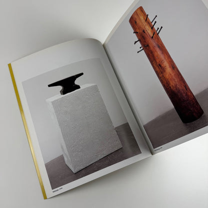 Valentin Carron | Galerie Eva Presenhuber, JRP Ringier, 2011