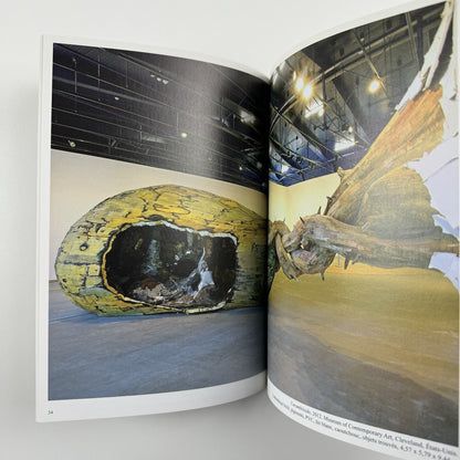 Henrique Oliveira | Marc Bembekoff, Felipe Scovino. Sam Art Projects, 2013 catalogue