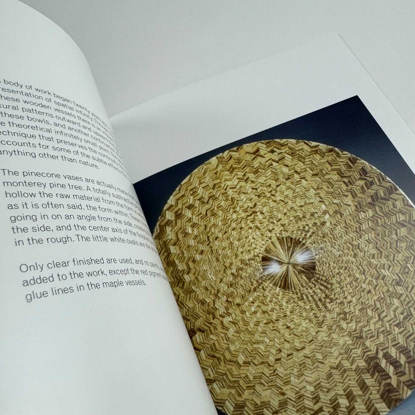 Turning wood into art Sarah Myerscough Fine Art, 2006