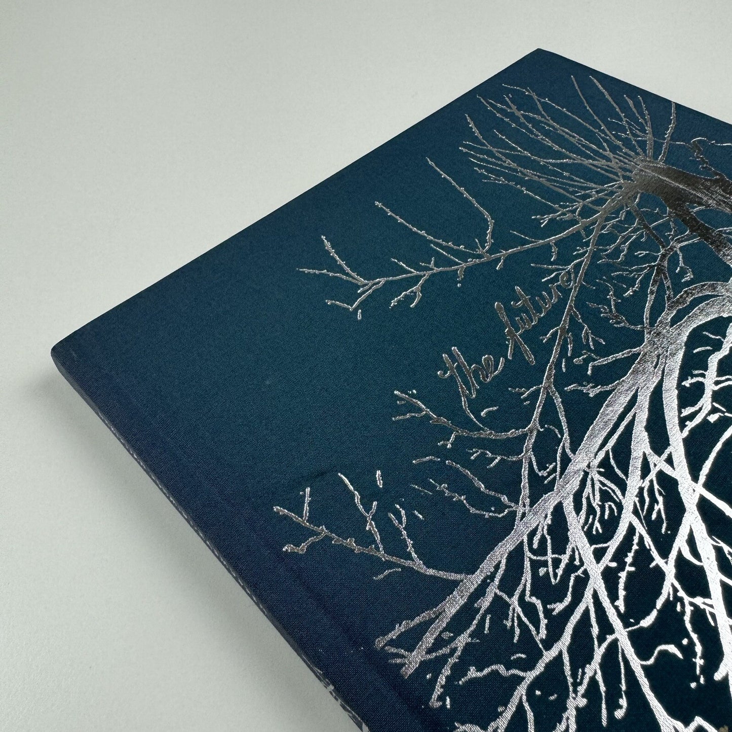The Future. Christian Schmidt-Rasmussen | Galleri Nicolai Wallner, 2009 catalogue