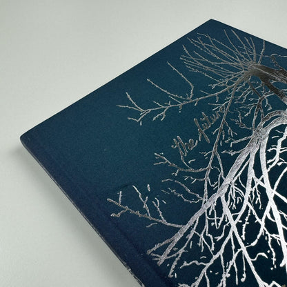 The Future. Christian Schmidt-Rasmussen | Galleri Nicolai Wallner, 2009 catalogue