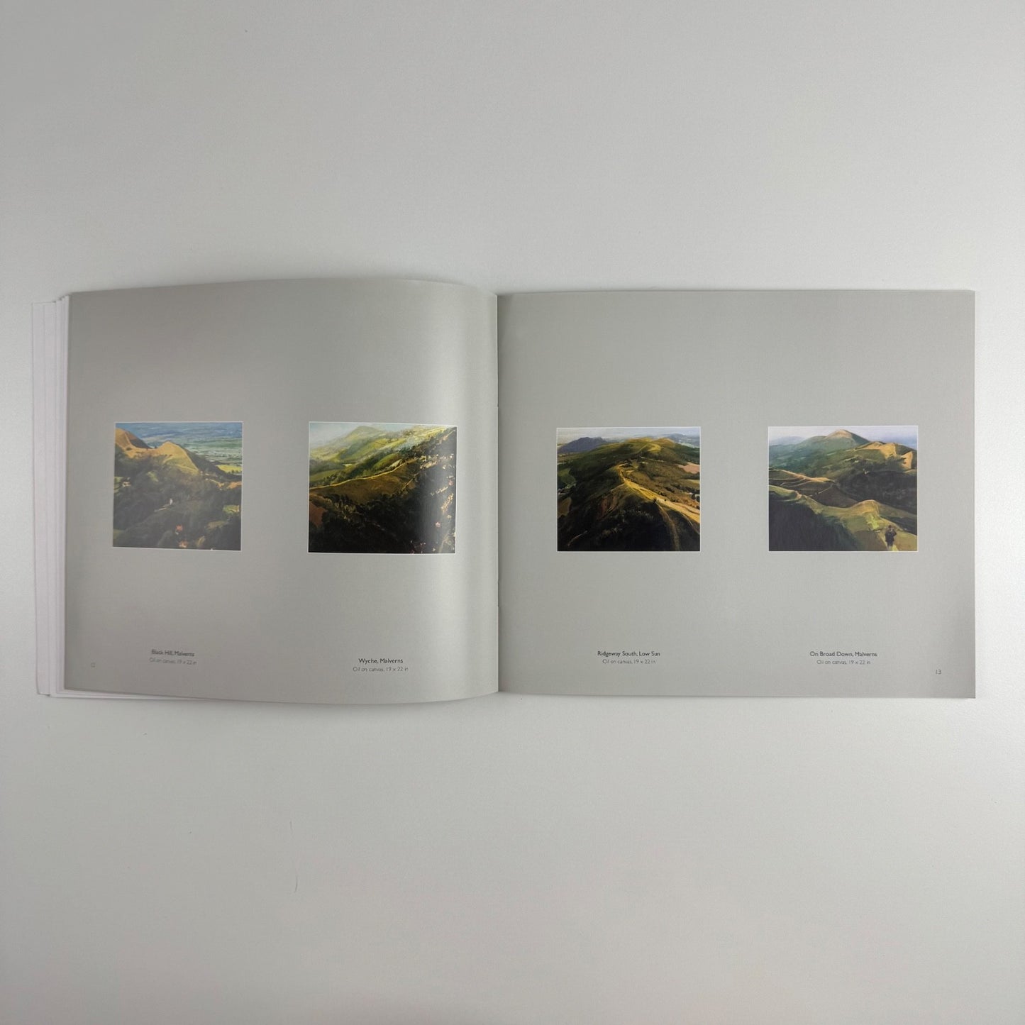 David Prentice. The Green Fuse Malverns City of London John Davies Gallery 2010