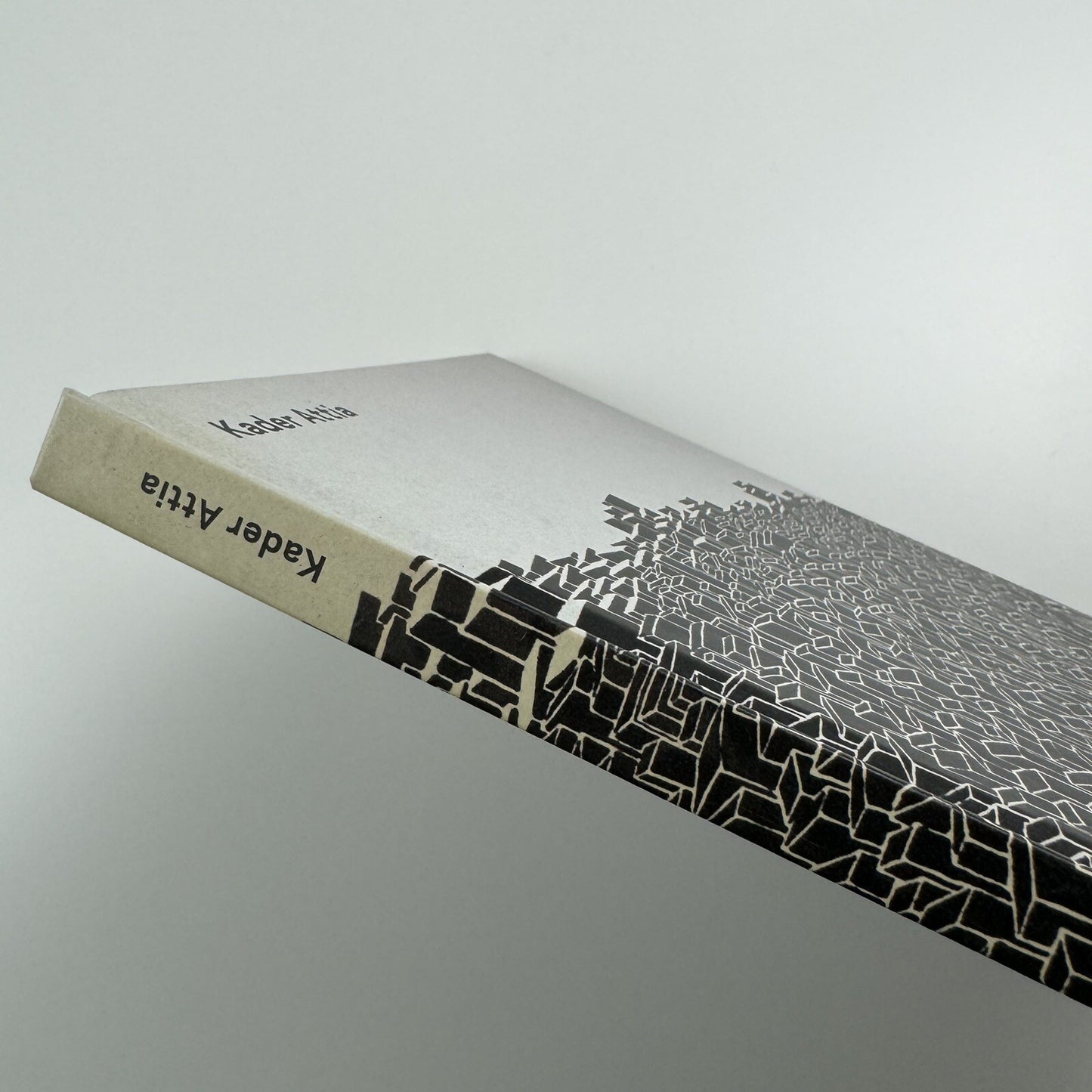 Kader Attia | Musée Art Contemporain, Lyon 2006 catalogue