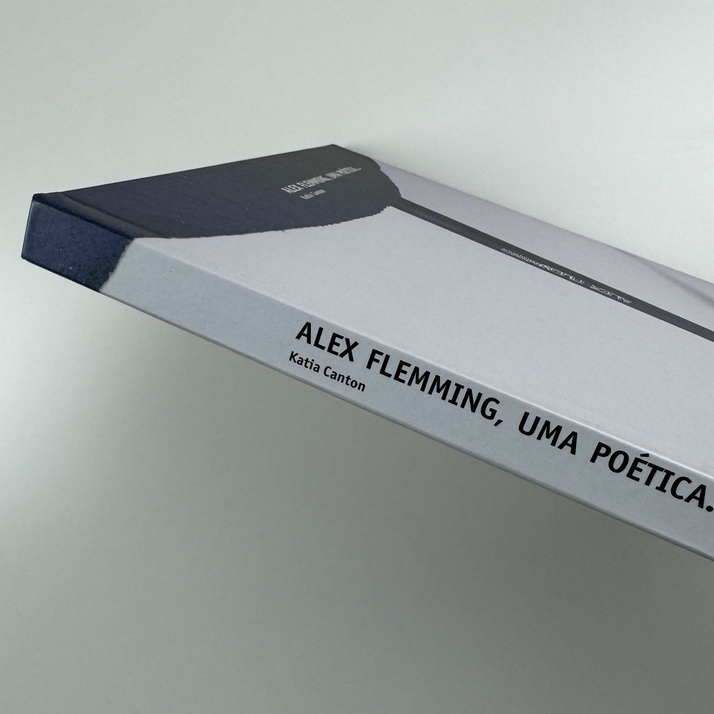 Alex Flemming, Uma Poética by Katia Canton | Metalivros, Sao Paulo 2002