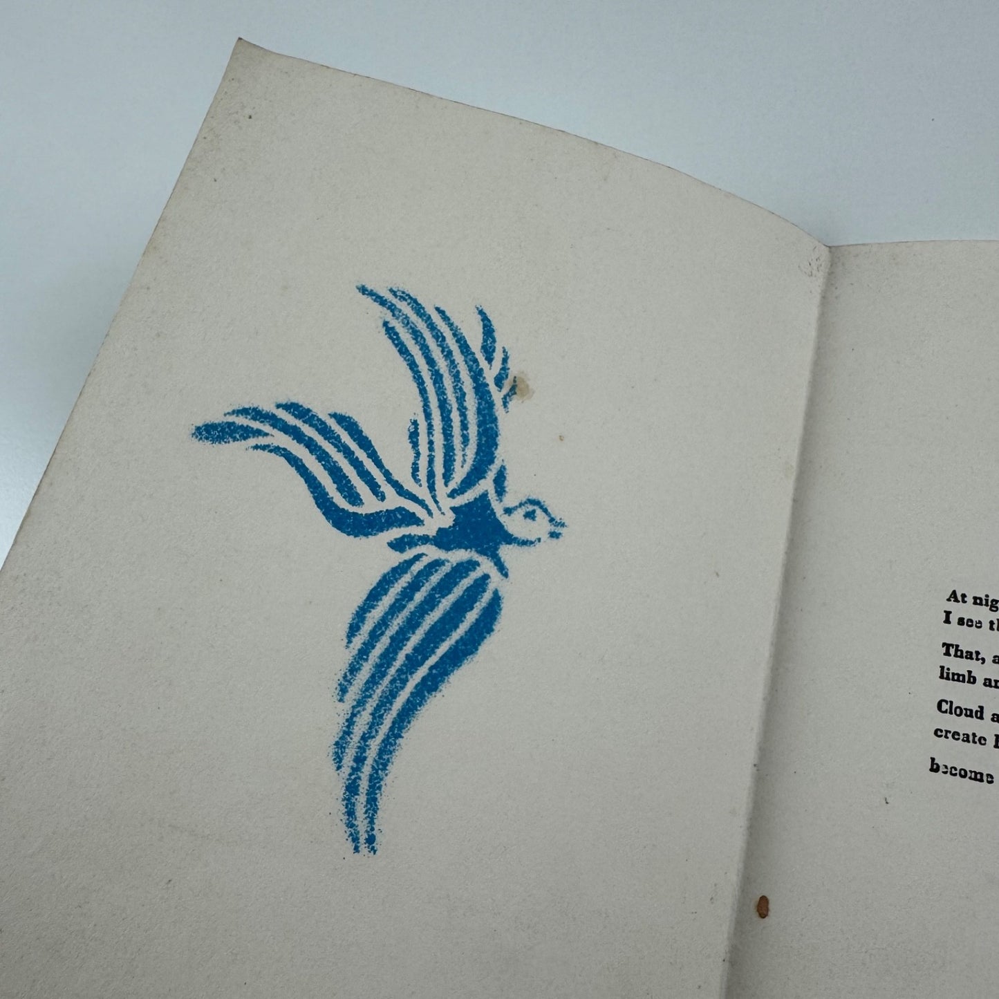 Poem A Form of Life leaflet Megan Boyd & Scott Chaskey Jeremy Lynn Le Grice 1987