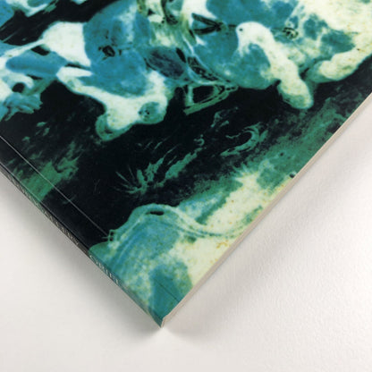 Radicalchip. Contemporary Art from Japan | Chapter, FFotogallery and Oriel 1991