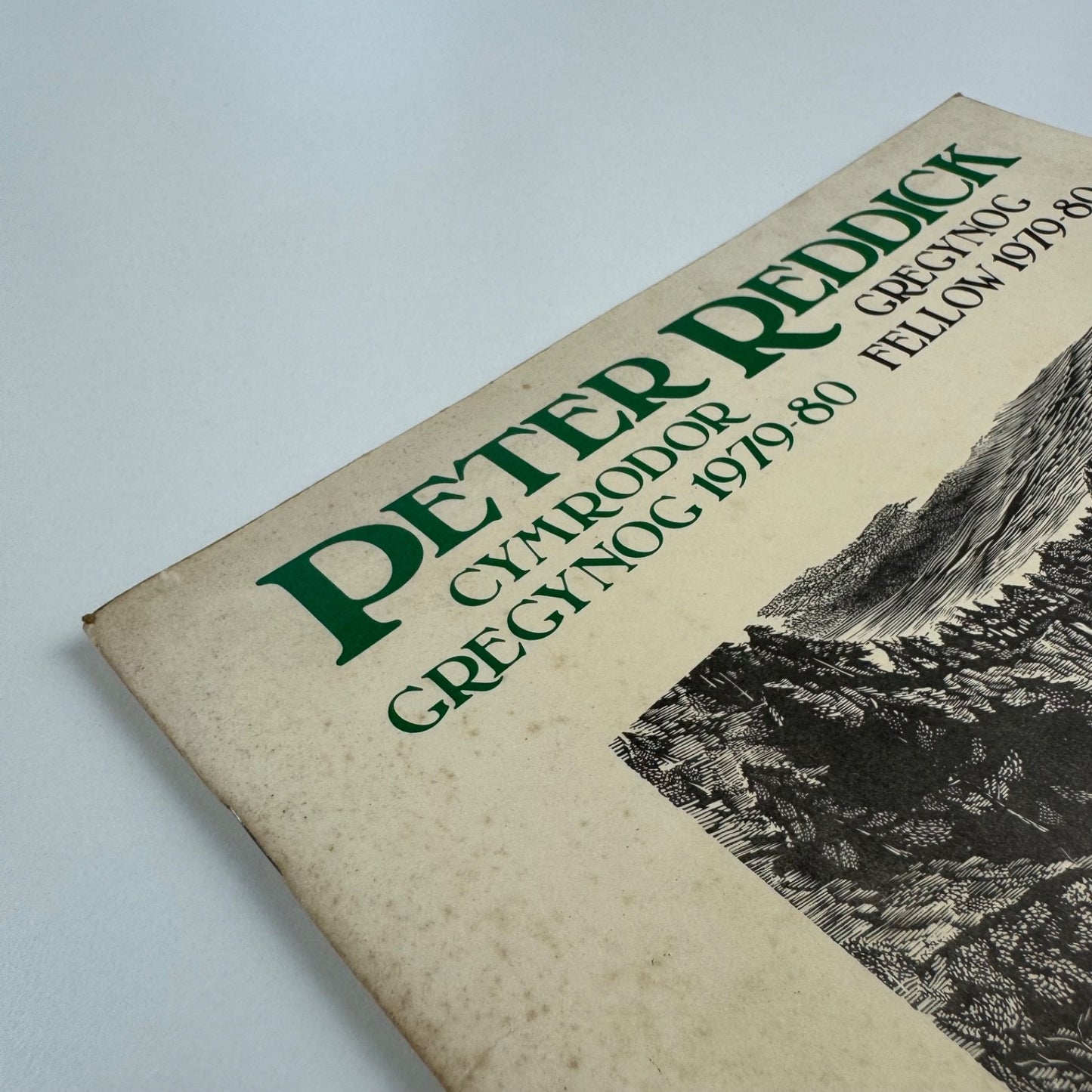 Peter Reddick. Gregynog Fellow 1979-80 | Welsh Arts Council, 1981
