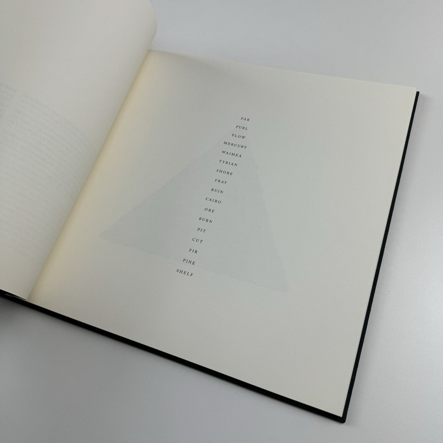 Jason Martin. Atlas | Mimmo Scognamiglio, Milan 2007 catalogue