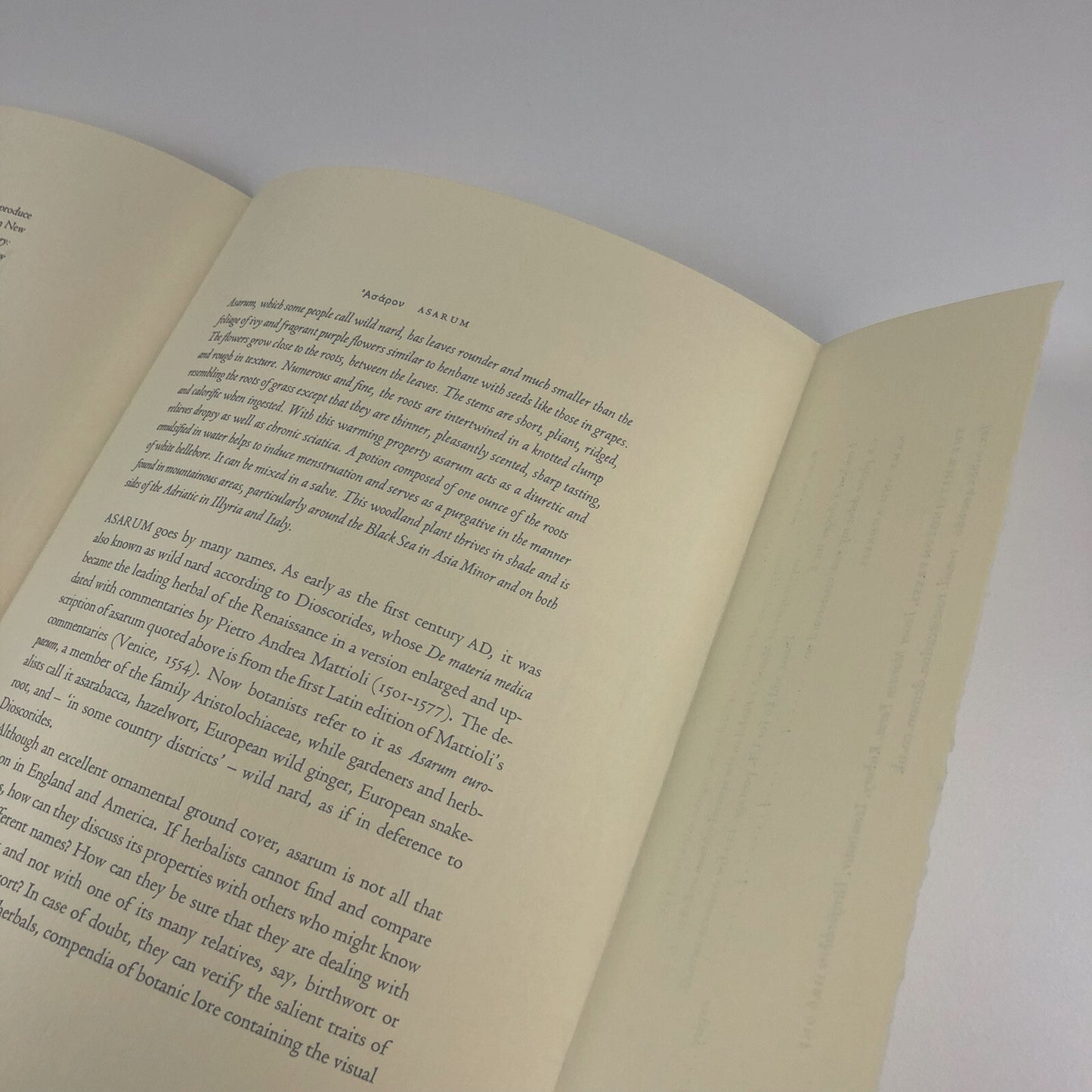 Prospectus for Mattioli's Herbal by John Bidwell | Whittington Press 2003
