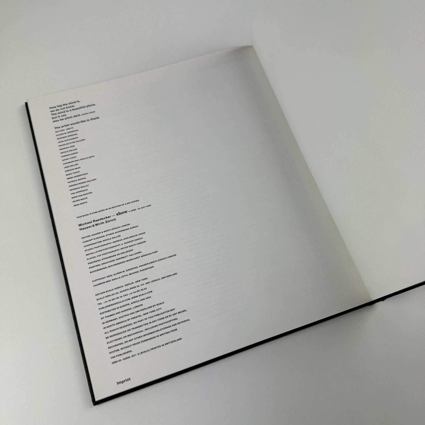 Michael Raedecker – Show | Hauser & Wirth exhibition catalogue, 2005