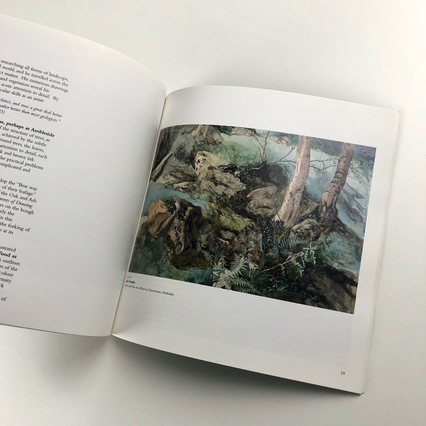 Ruskin and the Light of Nature | Abbot Hall Art Gallery catalogue, 2000