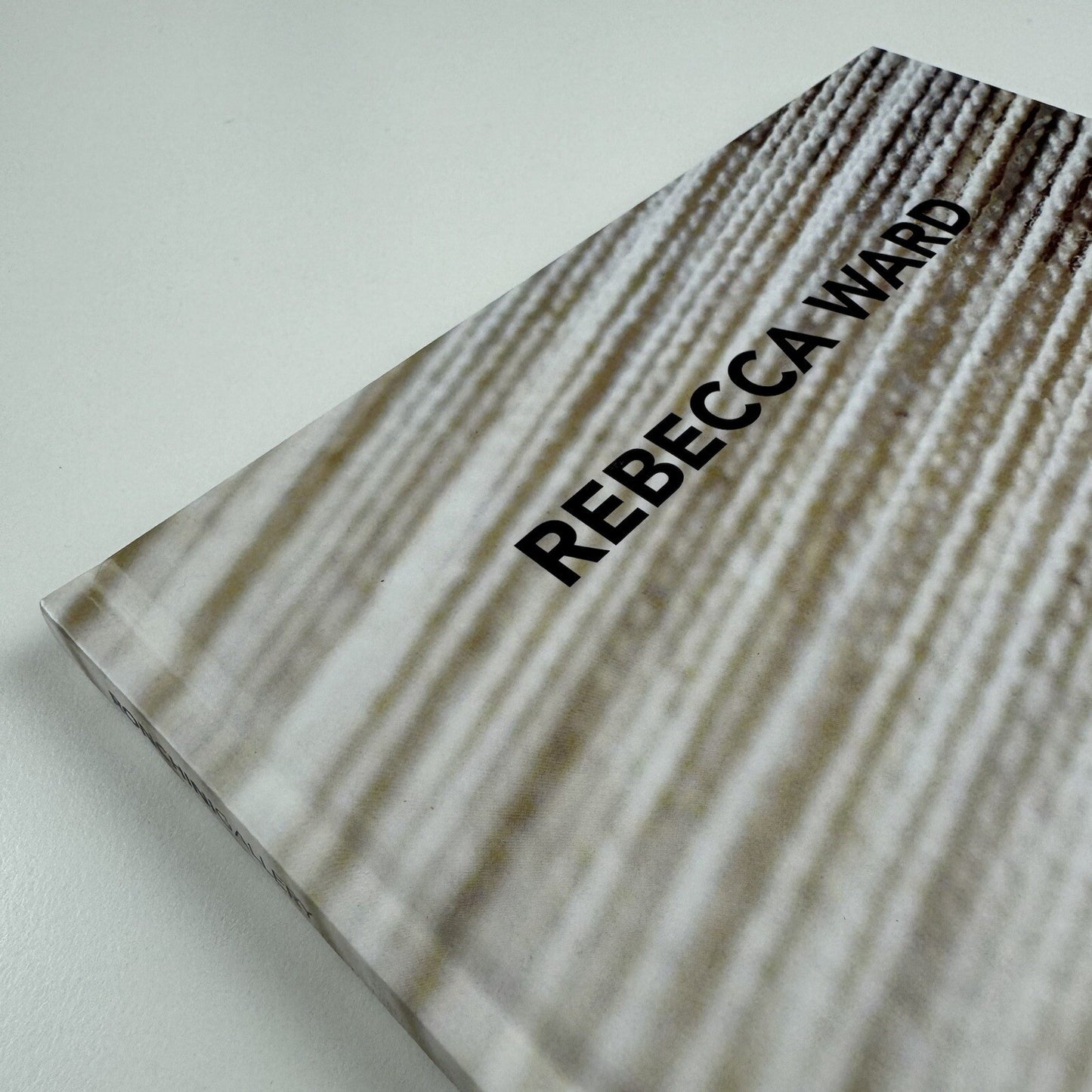 Rebecca Ward. Cow Tipping | Ronchini Gallery / Artnesia 2013 catalogue