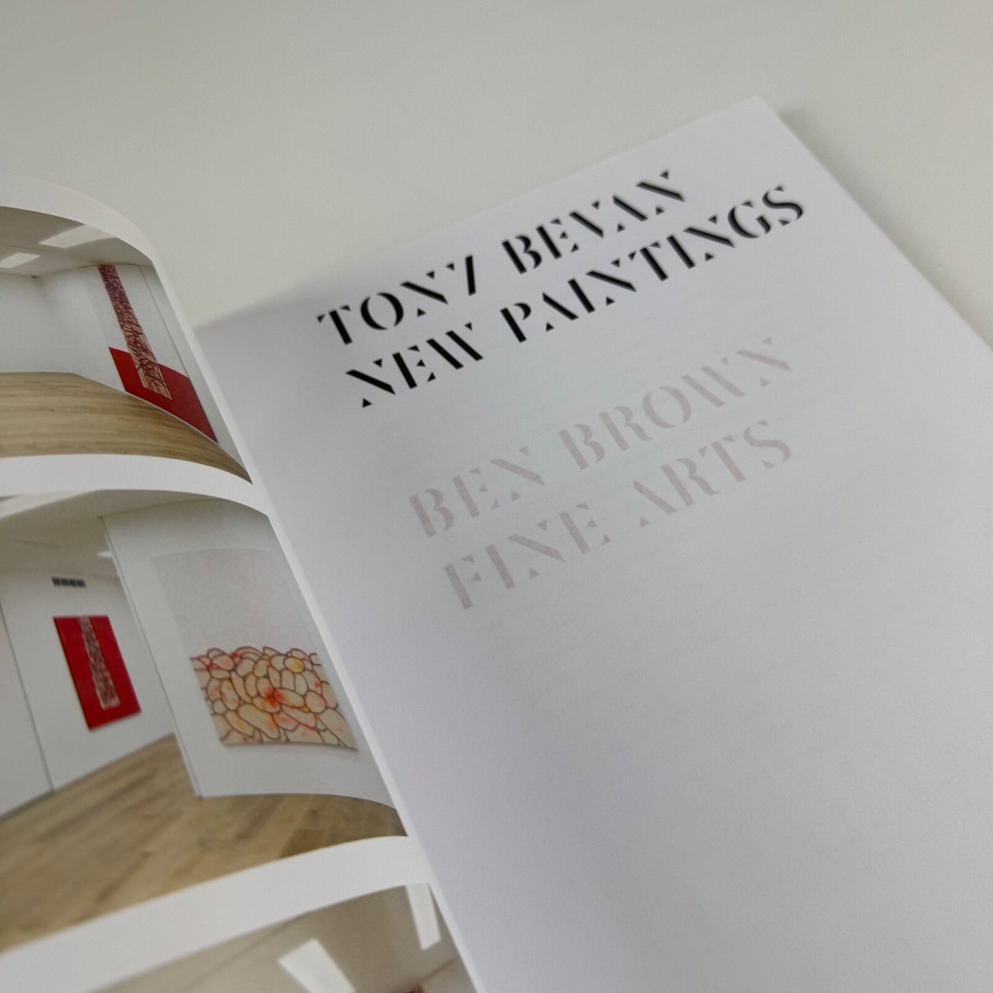 Tony Bevan. New Paintings | Ben Brown Fine Arts, 2008