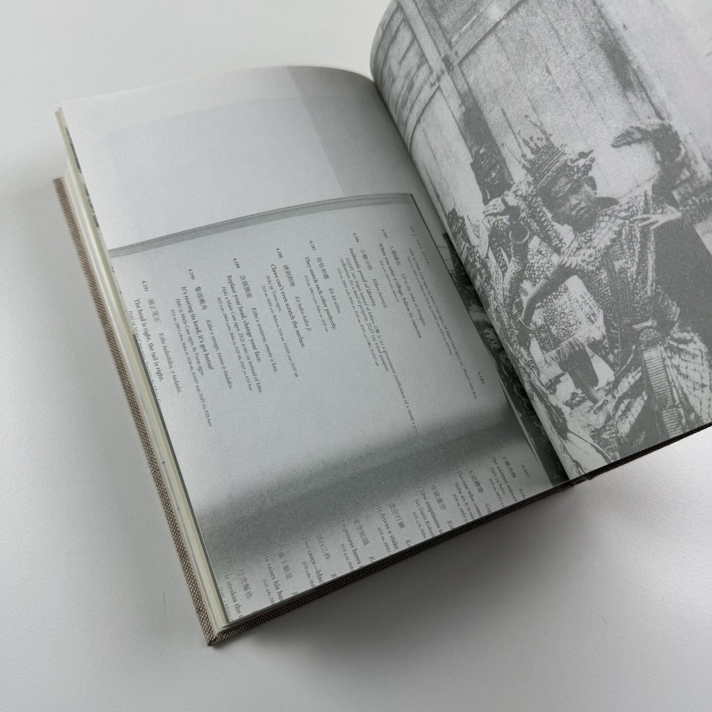 Mai-Thu Perret: 2012 | Timothy Taylor Gallery, London 2008 catalogue