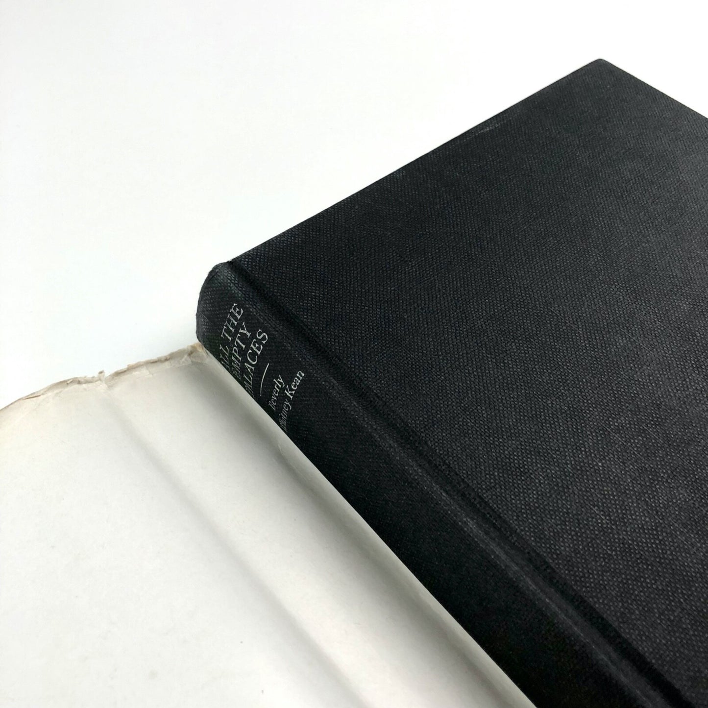 All The Empty Palaces by Beverly Whitney Kean | Barrie & Jenkins, 1983