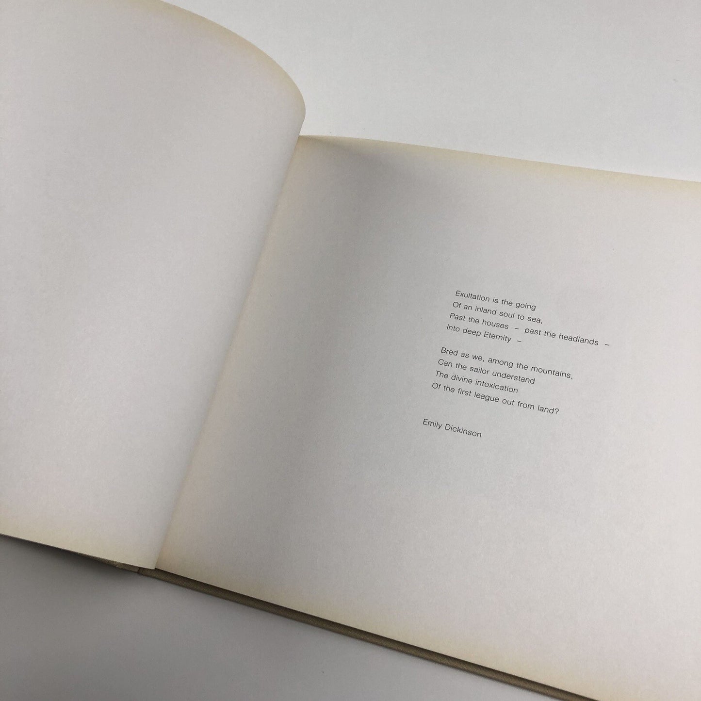 Libby Raynham Paintings | Edition Howeg, Zurich, 2001