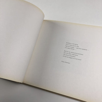 Libby Raynham Paintings | Edition Howeg, Zurich, 2001