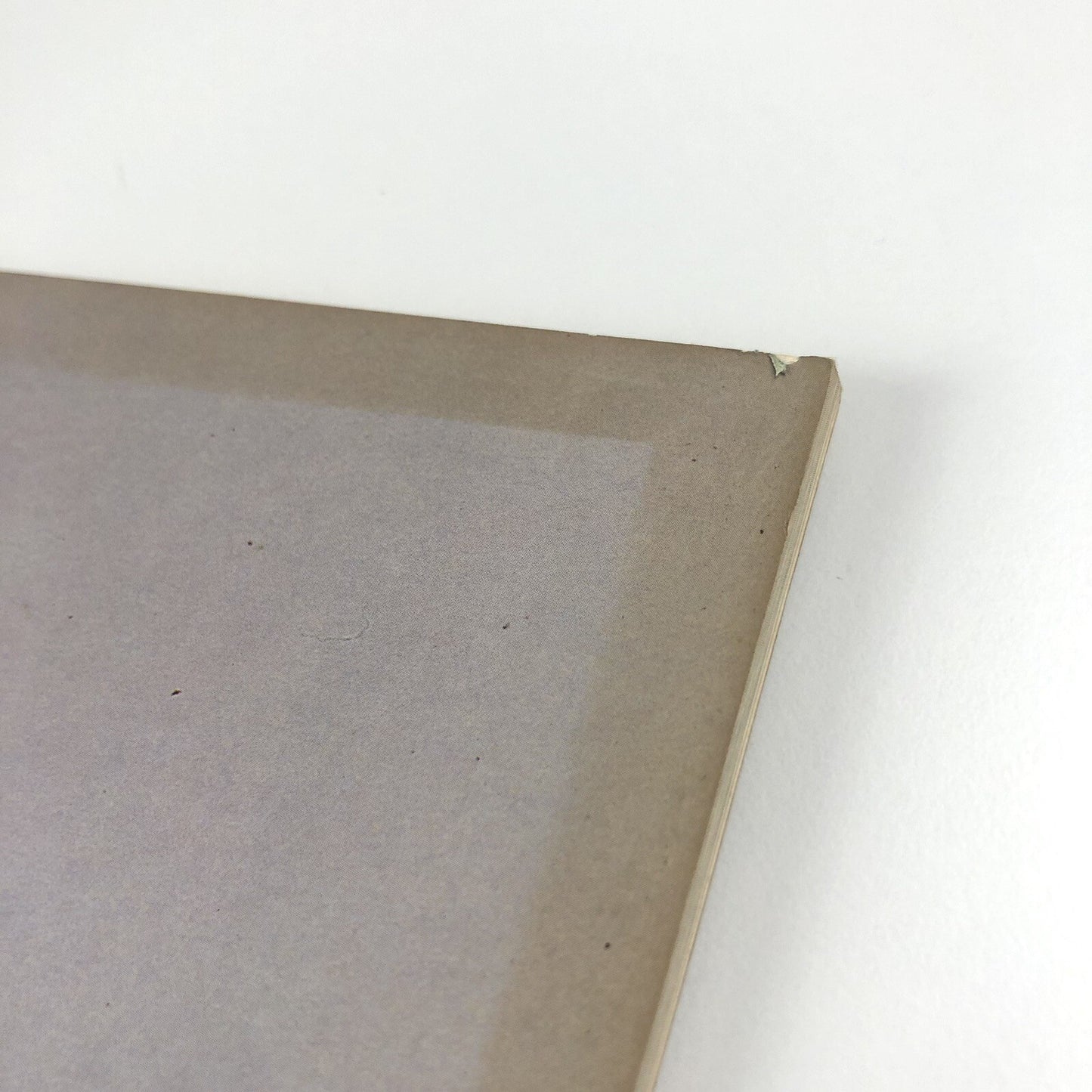 Cornelia Parker: A catalogue of disasters | Edward Woodman, Book Works 1993