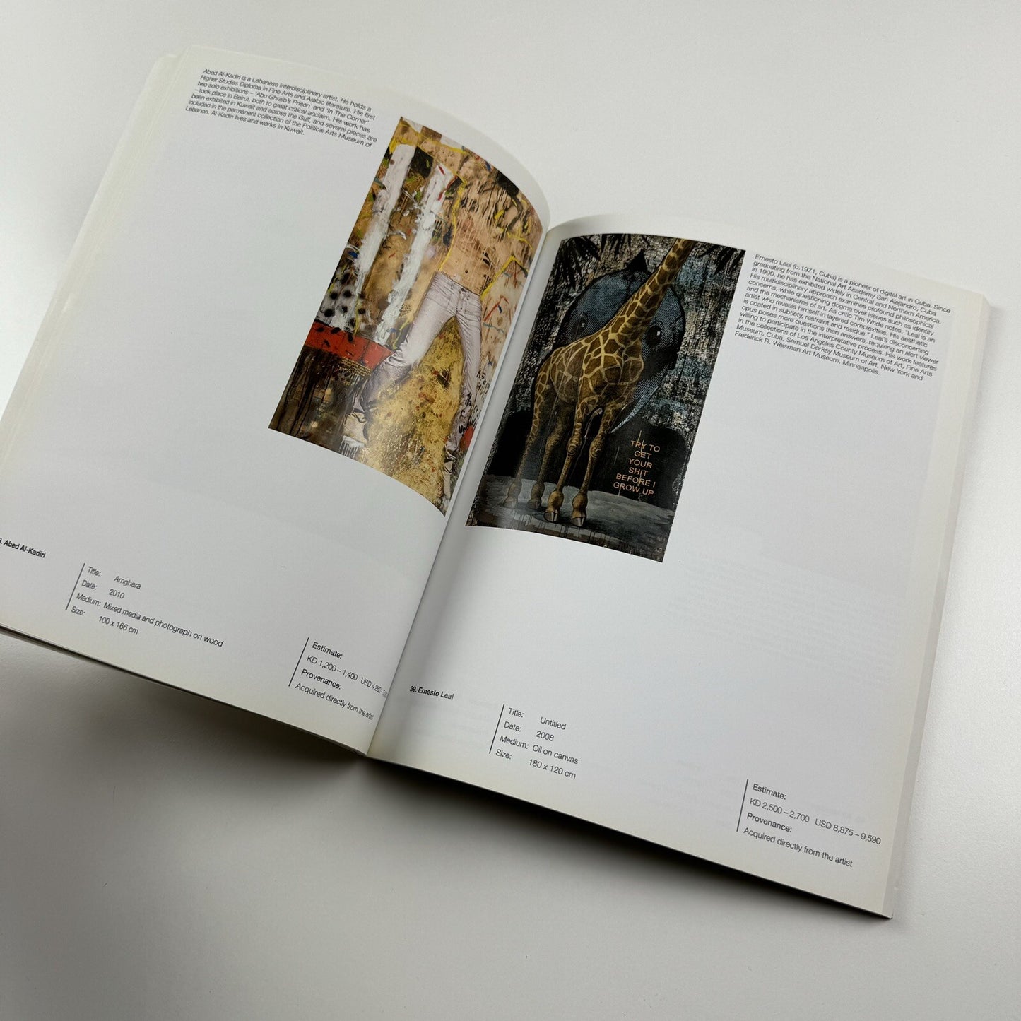 JAMM: Contemporary Art Auction | HSBC/Jamm, Kuwait, 2011 catalogue