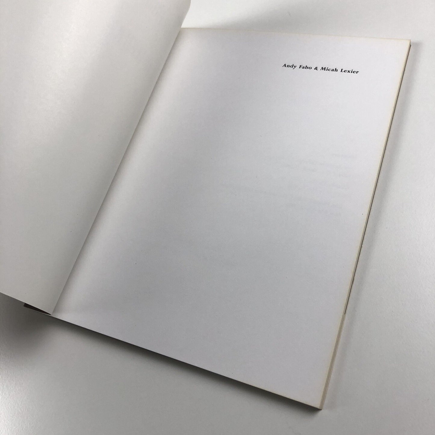 Andy Fabo & Micah Lexier | Canada House Galleries catalogue, London 1992