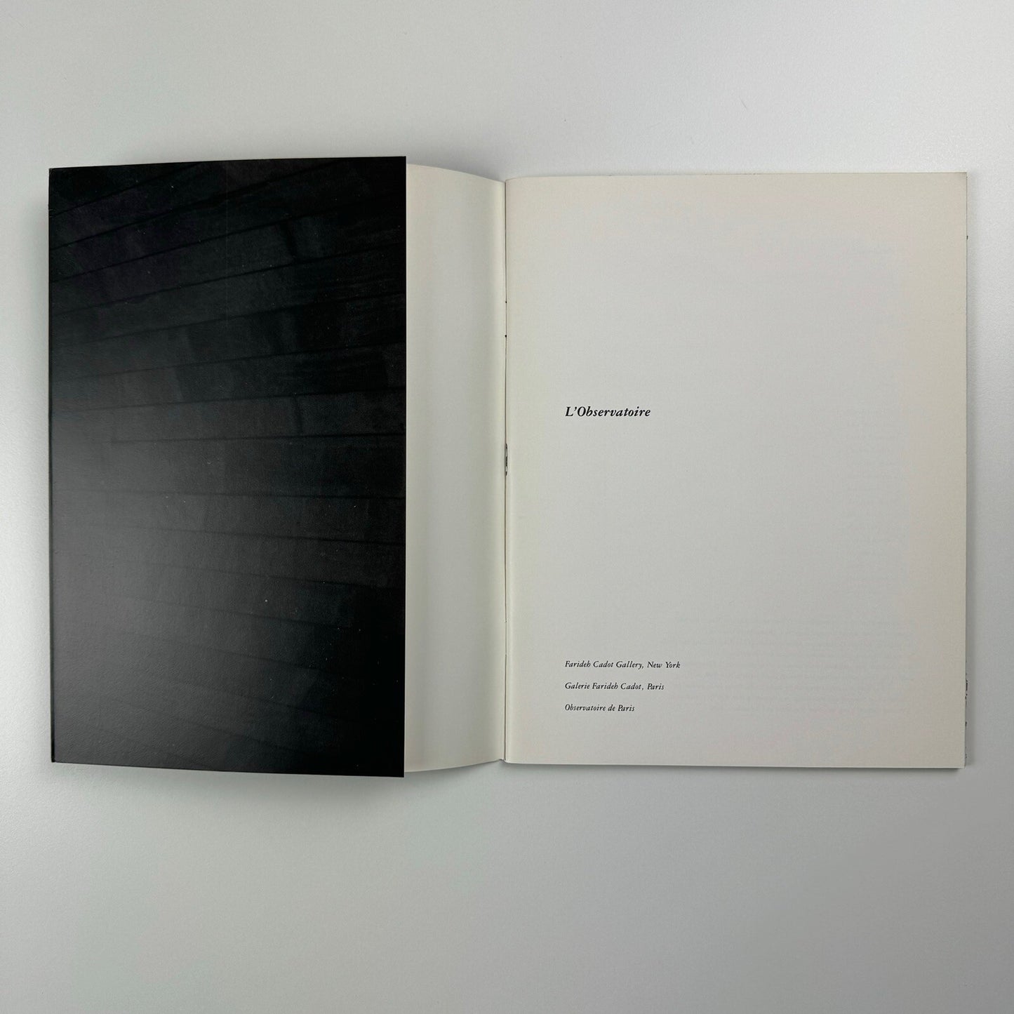 L'Observatoire. Farideh Cadot Gallery; NY; Galerie Farideh Cadot, Paris | 1988 exhibition catalogue