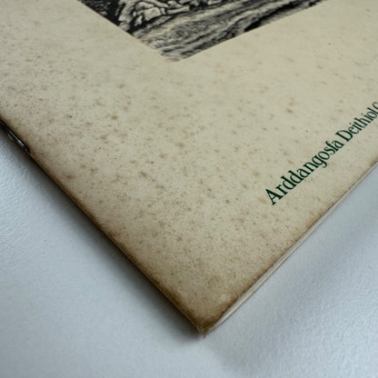 Peter Reddick. Gregynog Fellow 1979-80 | Welsh Arts Council, 1981