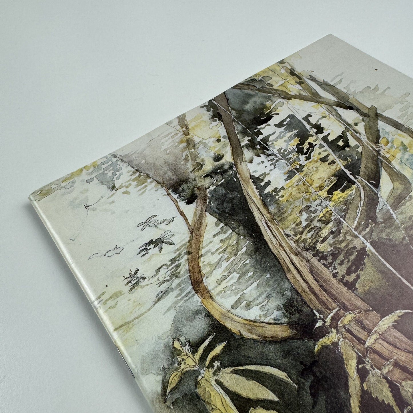 Neil Holland Architect and Painter | Foreword Prof. R.K. Macleod, 1991