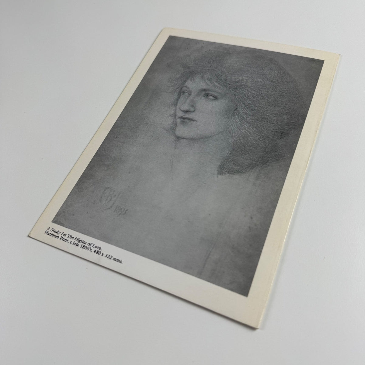 Frederick Hollyer Platinum prints Edward Burne-Jones Robert Self Gallery, 1979
