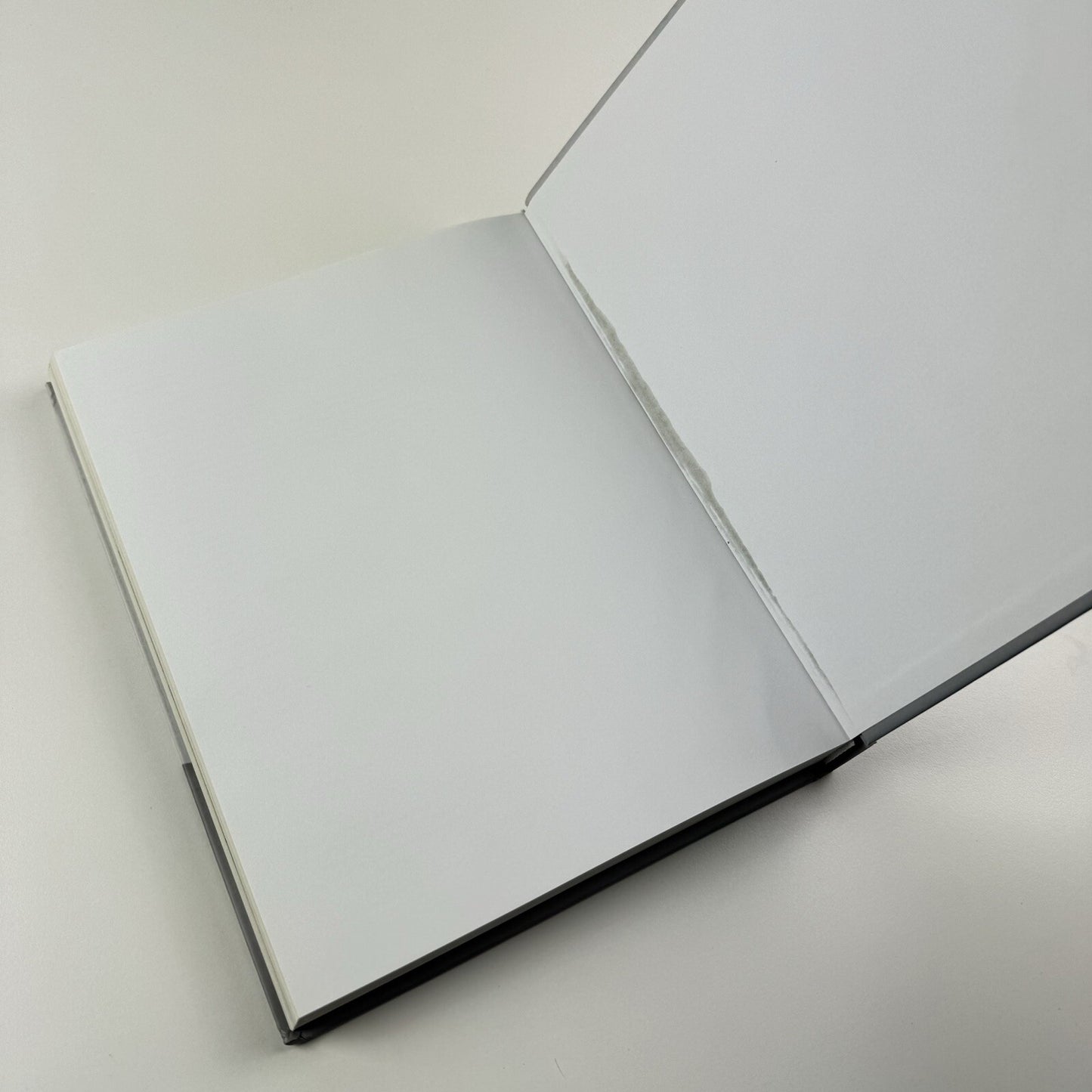 Claude Rutault | Hans-Ulrich Obrist | Damiani/Galerie Perrotin, 2013