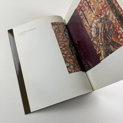 Julian Schnabel | Waddington Galleries, London 1996 catalogue