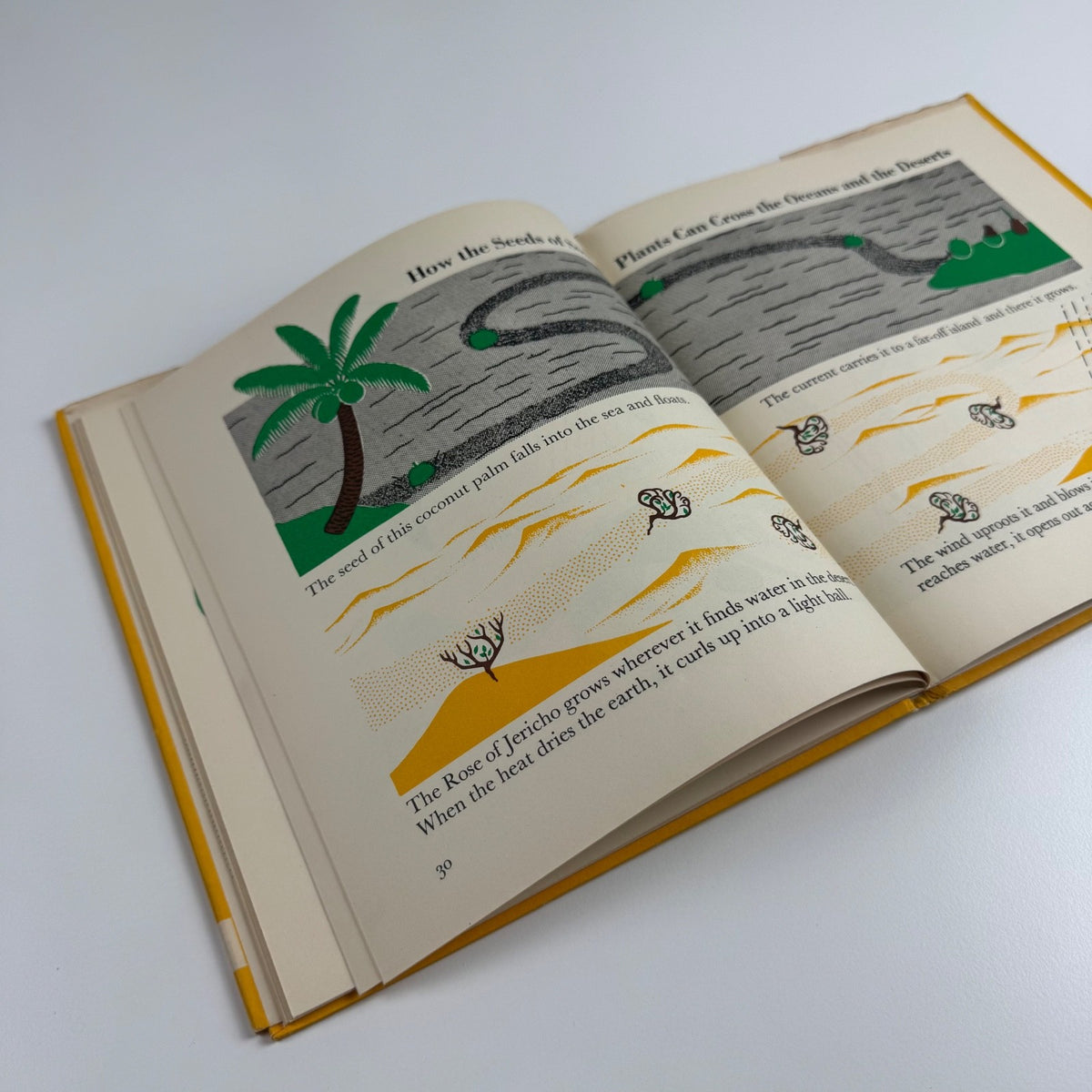 The Wonder World of Strange Plants by Marie Neurath | Max Parrish, 1956 Isotype Institute