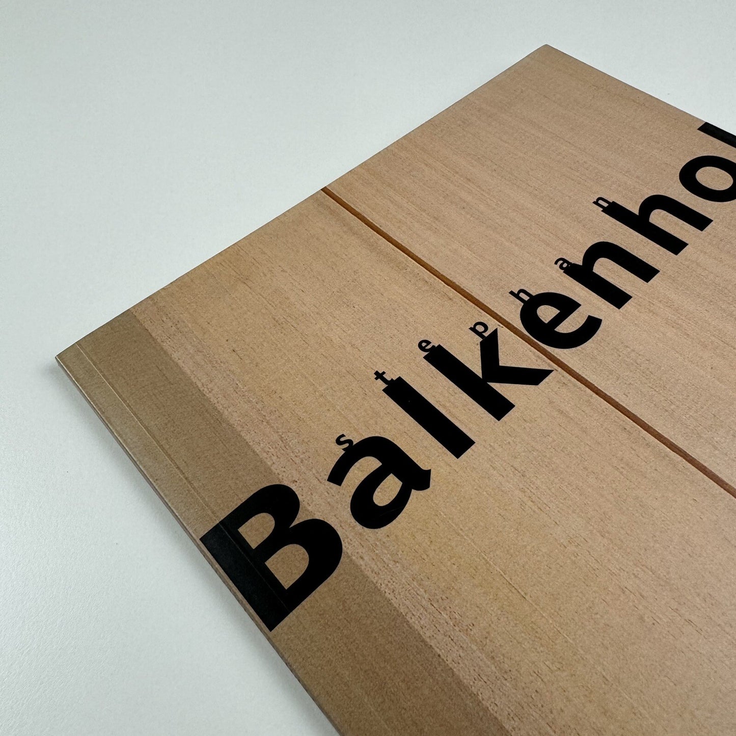 Stephan Balkenhol | Galerie Thaddaeus Ropac, Paris exhibition catalogue 1999