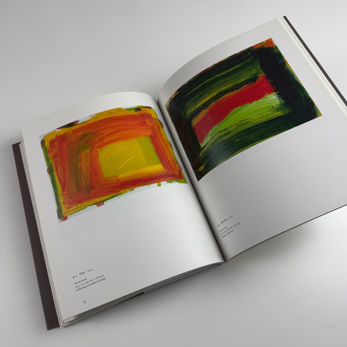 Howard Hodgkin. Indian Paintings ed Eleanor Clayton | Lund Humphries, 2017
